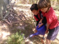 /album/fotogaleria-fotogaleria/huerto3-jpg/