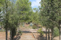 /album/fotogaleria-fotogaleria/img-4808-jpg/