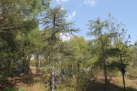 /album/fotogaleria-fotogaleria/img-4812-jpg/