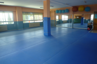 /album/fotogaleria-fotogaleria/gimnasio-png/